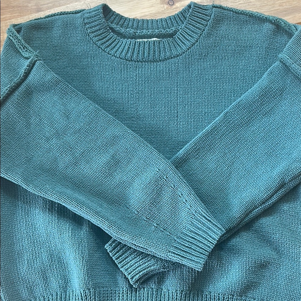 Hollister Sweater